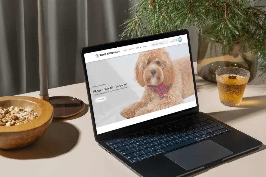 Referenzprojekt: Affiliate Plattform, Webshop, B2B und B2C, 2 Sprachig